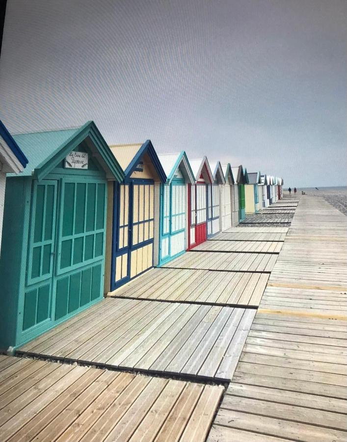 La Petite Echappee A 150M De La Mer Cayeux-sur-Mer Eksteriør billede